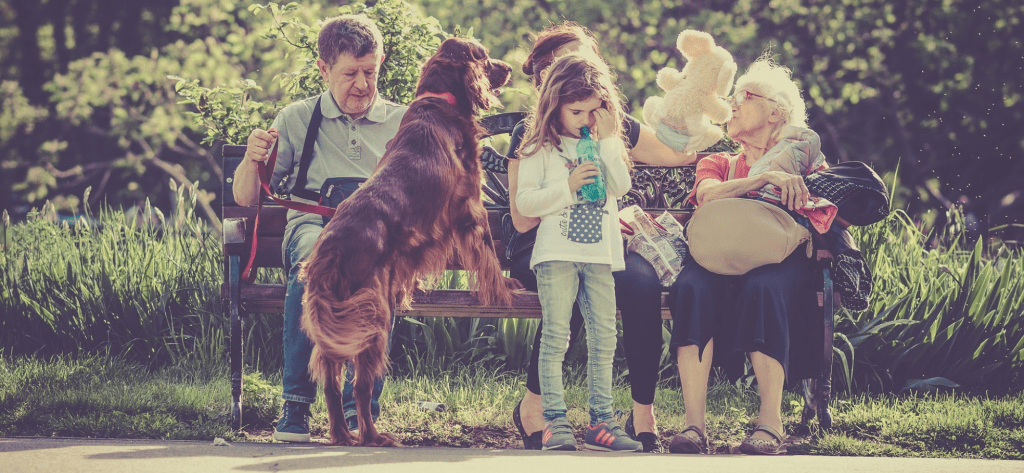 Životné poistenie, ochrana Vás a Vašich najbližších – súčasť Vášho finančného plánu.